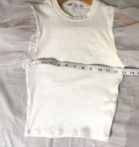 Zara Knit Top with Sheer Sleeves