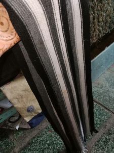 Muffler