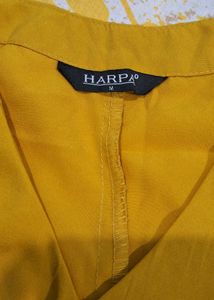 Gold V-Neck Flared Sleeve Top