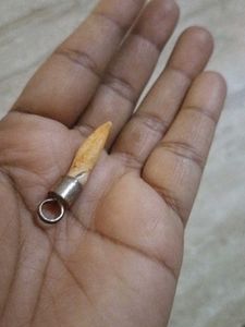 Junglee Sukr Dant Pendent In Silver