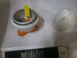 Microwave Egg Boiler