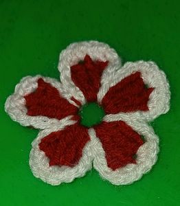 Crochet Flowers