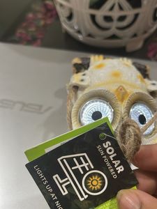 Owl Decor