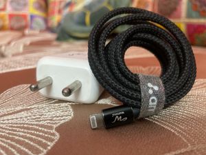 Wayona Apple 20 W Charger