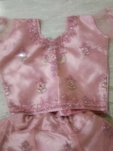 Pink Embellished Skirt