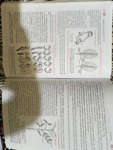 Trueman&#39;s Elementary Biology Vol. II for Class XII