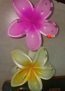 Flower Hair Clips