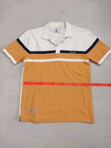 T-shirt (New) Dual Tone Collar Nack T-Shirt By Radiology (NEW)