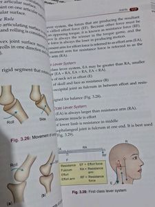 General Anatomy Handbook