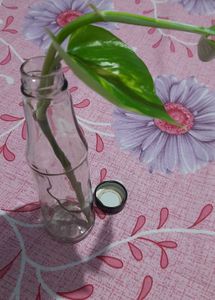 One Aesthetic Glass Bottle For Decoration