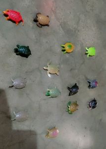 Animals