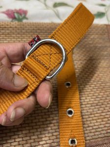 Dog Collar