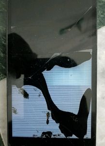 gionee X1 Display Problem Only
