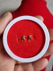 beautiful parrot 🦜 design studs