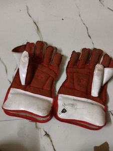 Speed on wicket keeping Gloves