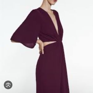 Zara Cut Out Jumpsuit- Aubergine