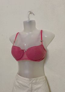 Pintresty Korean Imported Pink Bra