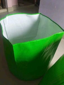 Green Plant Container