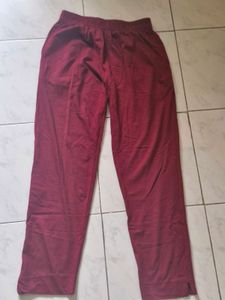 Maroon Casual Pants
