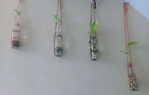 Hanging Glass Bottle Planter With Plant