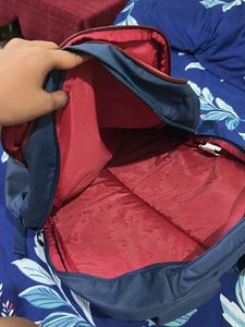 Wildcraft Backpack