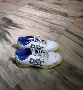 ⭐ DSC Cricket Shoes – Excellent Condition ⭐