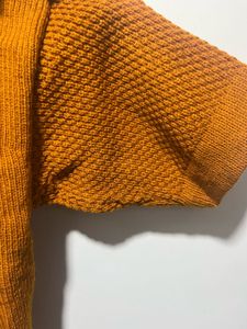 Orange Colour Crop Top