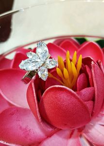(₹99)AD Butterfly Ring