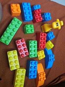 Kids Building Blocks &amp; Giraffe