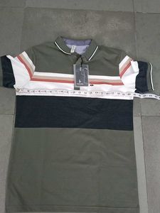 Stylish Olive Polo Shirt