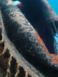 Stylish Scarves & Stoles