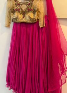 Pink Embellished Lehenga Choli