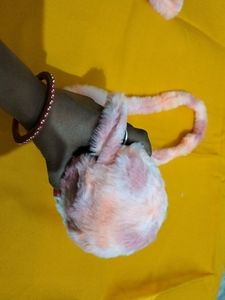 3 Combo Sling Bag For Girls