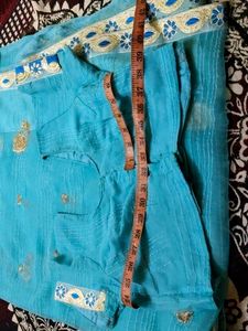 Sky Blue Sari with Gold Embroidery