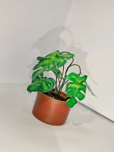 Artificial Miniature Plant