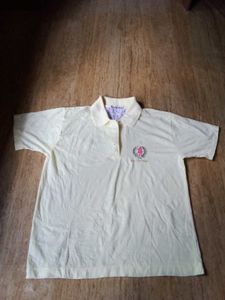Excellent Mode Collar Tshirt