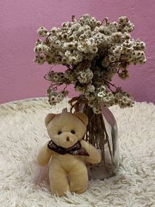 Cute Teddy Bag Charm