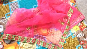 Party Wear Lehgha pink &amp; Parrot Color