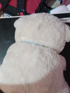 Cute Cream Teddy Bear