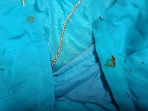 Elegant Turquoise Saree Withblouse Falls And Picco