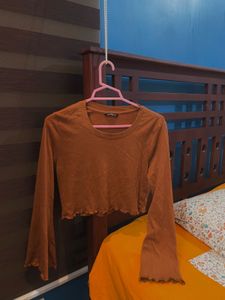 Brown Full Sleeve Crop Top
