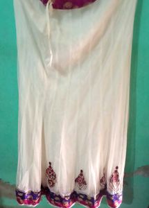Elegant Ethnic Skirt
