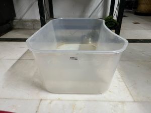 Turtle Tank