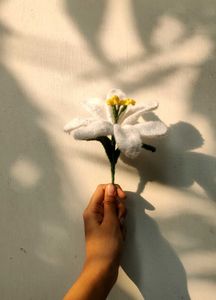 LILY FLOWER