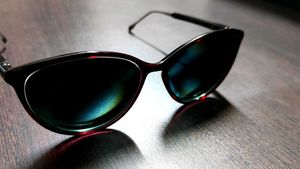 Titan Signature Cat Eye Sunglasses