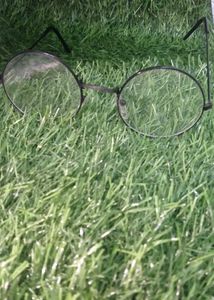 Sunglass