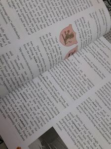 Class 11th English Book