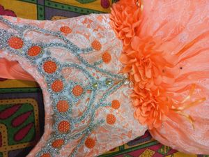 Beautiful Net Frock