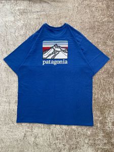 Patagonia Graphic Tee