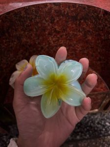 Flower Hair Claw Clips